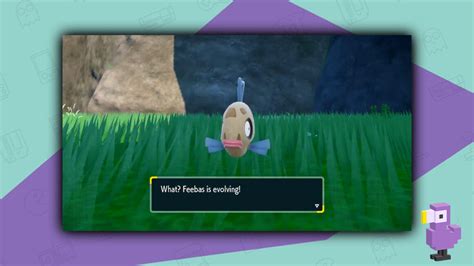 How To Evolve Feebas In Pokemon Scarlet Violet The Teal Mask