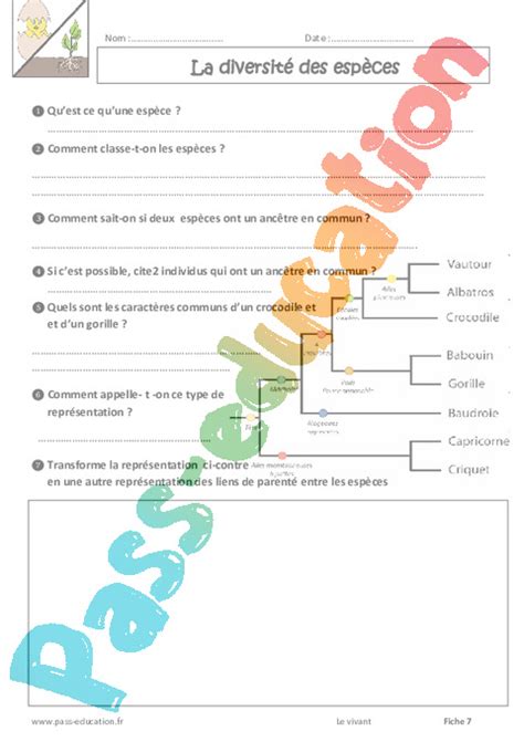 La Diversit Des Esp Ces Examen Evaluation Avec Les Corrections