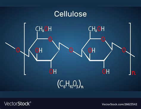 Cellulose Polysaccharide Molecule Royalty Free Vector Image