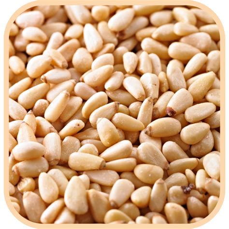 Pine Nuts Raw 2 Brothers Foods Online Wholefoods Health Foods