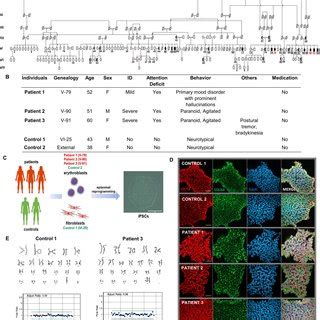 Genealogy and clinical features of individuals from a Brazilian family ... 