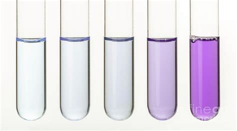 Biuret Reagent Test For Protein By Science Photo Library