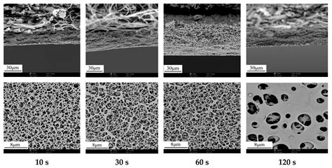 Membranes Free Full Text Study On The Preparation Of Cellulose