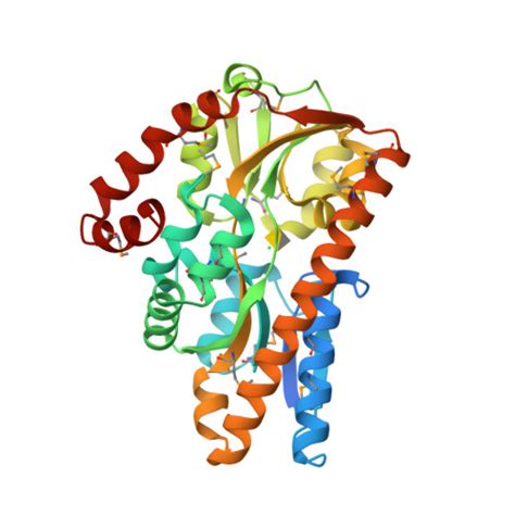 RCSB PDB 4PF8 CRYSTAL STRUCTURE OF A TRAP PERIPLASMIC SOLUTE BINDING