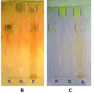 Chemical Profile By Thin Layer Chromatography TLC Of Hydroalcoholic