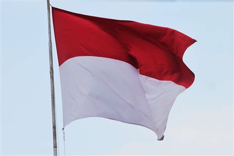 Tak Boleh Asal Ini Aturan Pemasangan Dan Ukuran Bendera Merah Putih