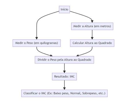 Como Calcular E Interpretar Seu Imc O Guia Definitivo Para Entender Sua Saúde Corporal