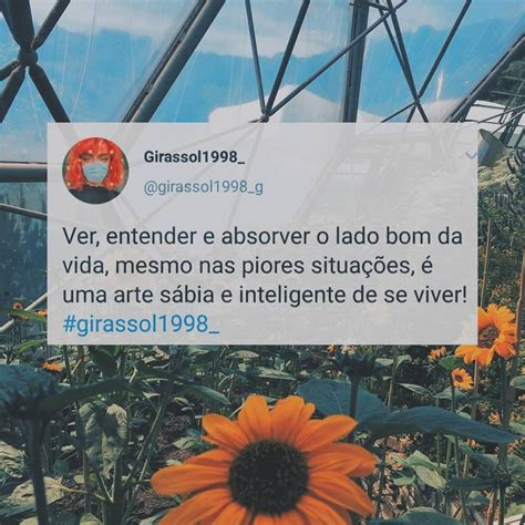 135 curtidas 0 comentários Girassol1998 girassol1998 no