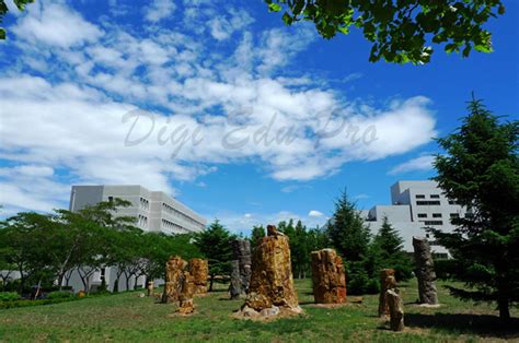 Dalian University