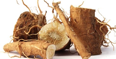 Chicory Root Health Benefits, Nutrition Facts and Uses - Dr. Axe