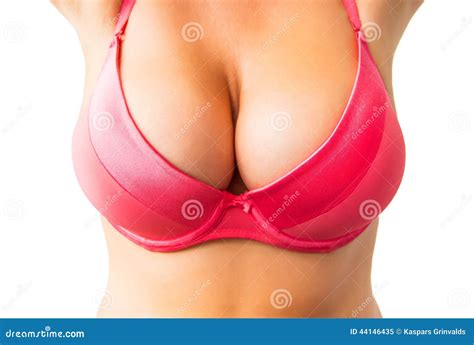 I Seni Della Grande Donna In Reggiseno Rosa Immagine Stock Immagine