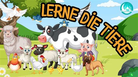 Tiere Lernen F R Kinder Tierlaute Tiernamen Tierstimmen Tierger Usche