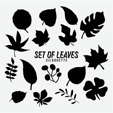 Black autumn leaves or foliage silhouettes are isolated on white ...