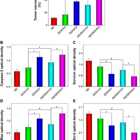 Semi Quantitative Analyses Of Histopathological And Immunohistochemical Download Scientific