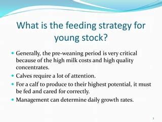 Cattle Feeding Practices | PPT