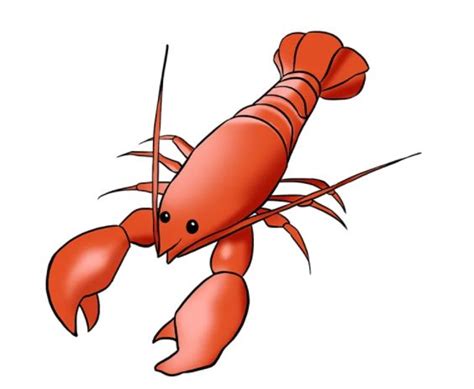 C Mo Dibujar Una Langosta Lobster Drawing Easy Drawings Drawing