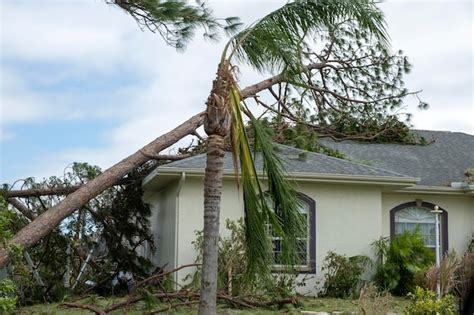 Premium Photo Damage To Florida House Roof From Uprooted Tree After