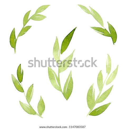 Set Hand Painted Watercolor Green Leaves Stock Illustration 1147083587