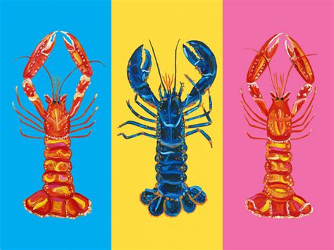 Lobster Langoustines Pop Art Alice Straker