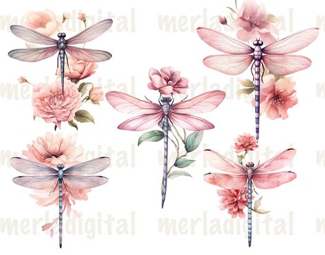 Dragonfly Clipart Watercolor Flower Dragonfly Minimal Png Clipart Pink ...