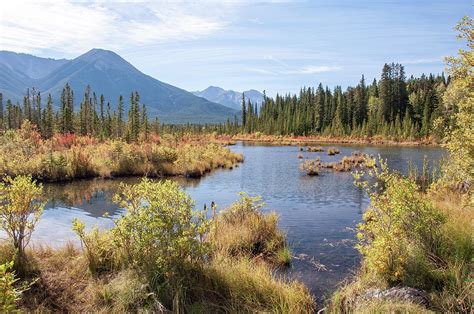 Vermillion Lakes Banff Photograph by Andrew Wilson - Pixels