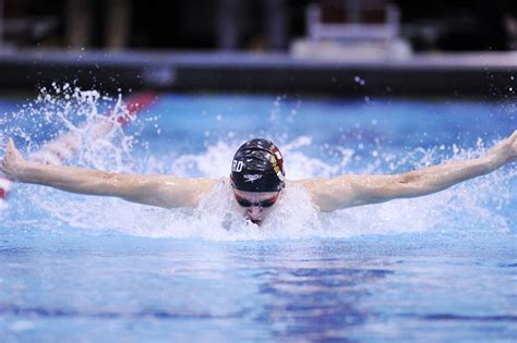 Harvard Mens Swimming And Diving Claims Two Wins Over Yale And Princeton