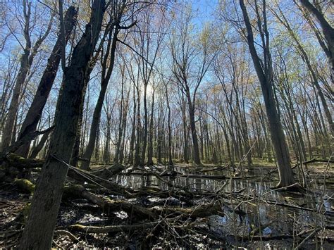 hiking trails lansing mi 3