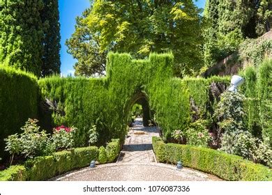 Gardens Alhambra Palace Granada Beautiful Summer Stock Photo