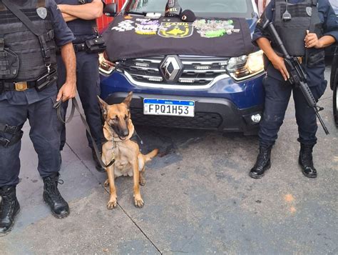 Gcm Apreende Kg De Drogas E Prende Duas Pessoas Guarulhos Hoje