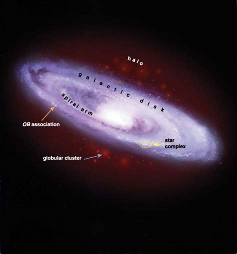 The Formation of Star Clusters | American Scientist