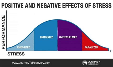 Positive and Negative Effects of Stress (Infographic) – Journey To Recovery