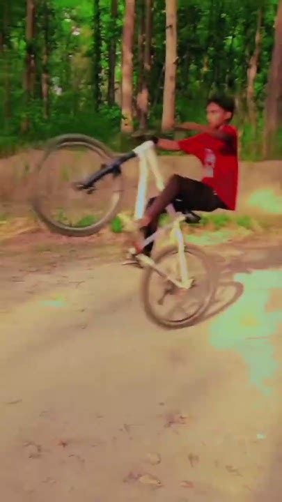 Meary Barie Stunt Cyclest Cycleriding Automobile Cycleb Cycling