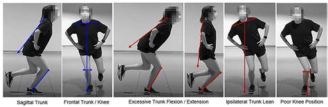 Frontiers Concurrent Validity Of Movement Screening Criteria Designed