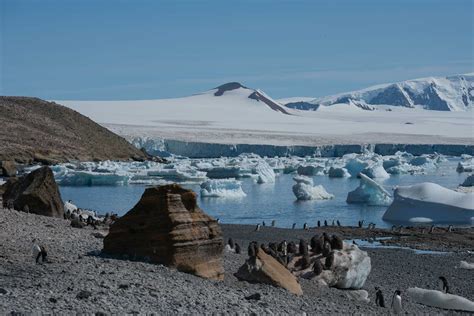 Brown Bluff And Paulet Island Lindblad Expeditions