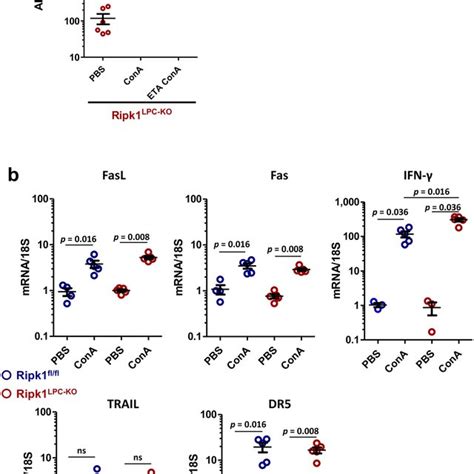 TNF-α inhibition partially protects Ripk1 LPC-KO mice from ConA-induced ... 