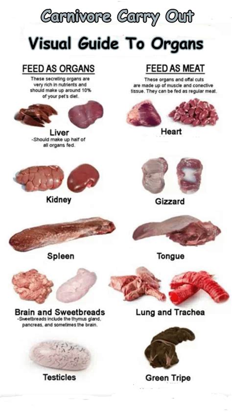 Organ Guide Raw Feeding