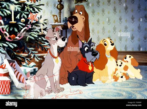 JOCK, TRAMP, LADY, TRUSTY, LADY AND THE TRAMP, 1955 Stock Photo - Alamy