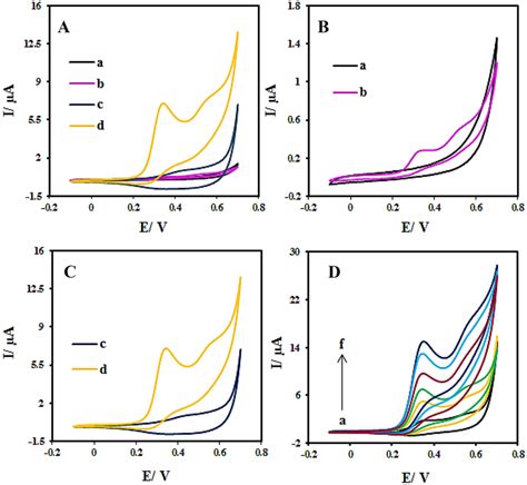 A Comparison Of Cvs For Unmodified Gce In The Absence A And Presence