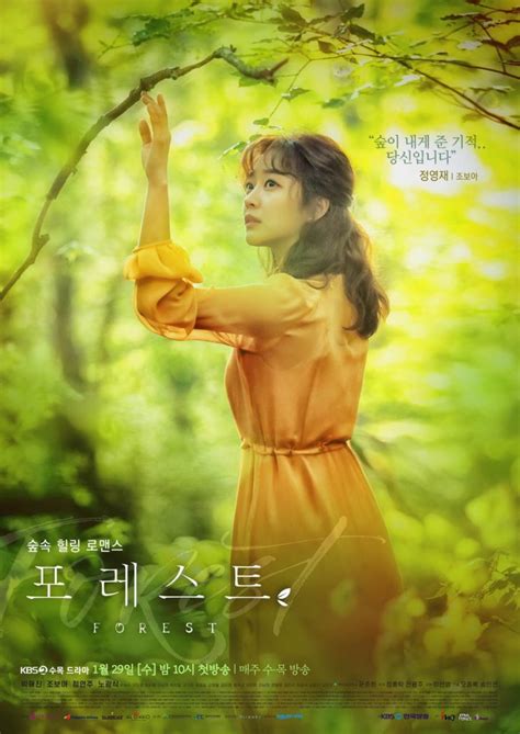 K-Drama Review: "Forest" Illuminates A Healing Romance Found Deep ...