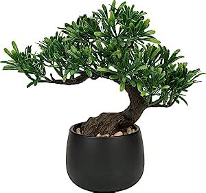 Amazon De Oairse Cm Kunstpflanze Bonsai Baum Im Keramiktopf