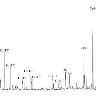 Mass Chromatogram M Z 191 Showing The Distribution Of Tricyclic