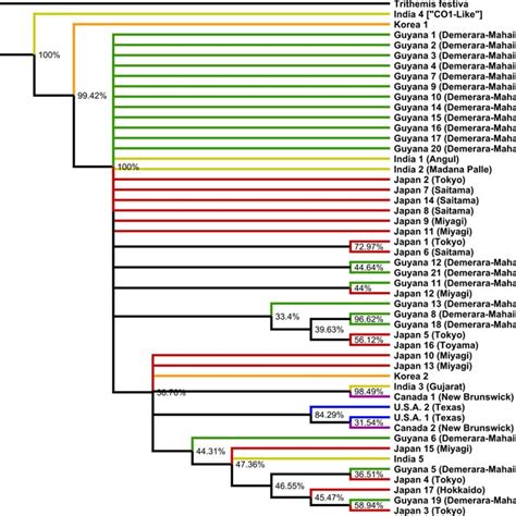 Mrbayes Bayesian Majority Rule Consensus Tree Tree Based On Co Known