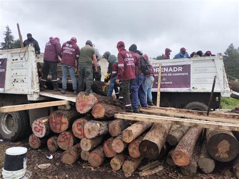 SPR Informa Aseguran Miles De Trozas De Madera De La Tala Ilegal De