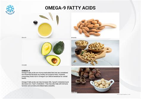 Omega Fatty Acids 3 6 9 - Omega 3 6 9 Benefits For Women: Complete Guide & Key Details | TAFT ...