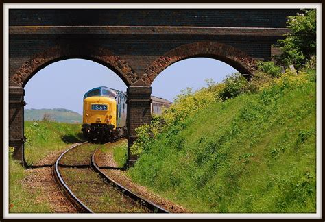 55019 Royal Highland Fusilier 55019 Royal Highland Fusilie Flickr