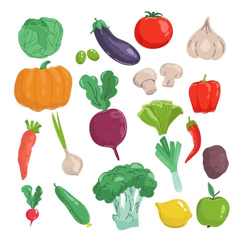 conjunto de vegetales dibujados a mano ilustración de vector de estilo