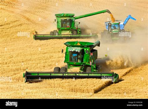 Two John Deere Combines In Tandem Harvest Wheat While One Unloads Stock