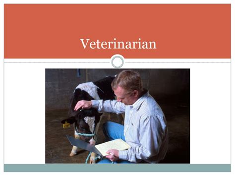 Ppt Careers Veterinary Medicine Powerpoint Presentation Free