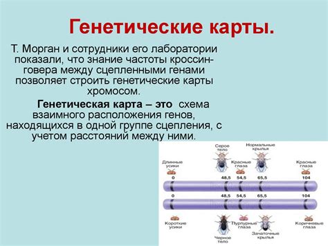 История развития медицинской генетики - презентация онлайн