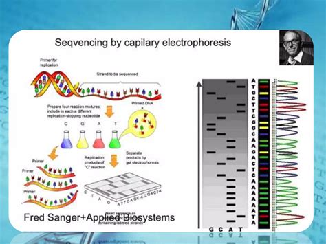 Dna sequencing | PPT